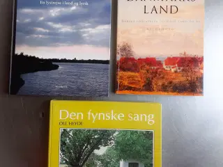 3 Bøger om Danmark, Lyrik og Sang 