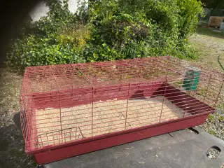 Kaninbur