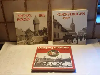Odense Bøger Se flere fotos