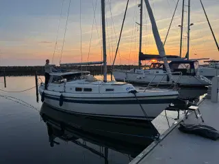 Andel i Korsør Lystbådehavn 