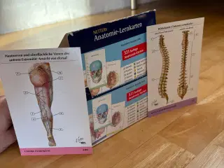 Anatomiske læringskort