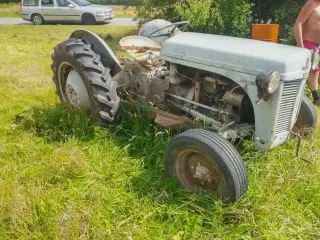 Ferguson 31