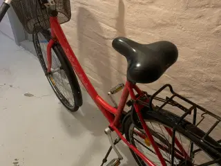 Fin Angela Damecykel 28 kom med et bud