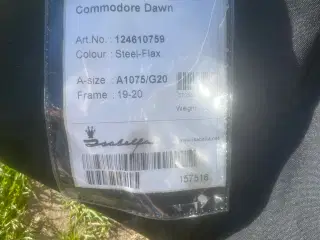 Isabella commodore Dawn 