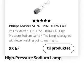 Phillips Masterson-T PIA PLUS 100 W. E40