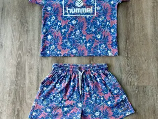 hummel