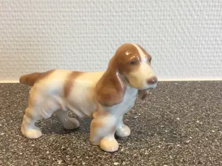 B&G cocker spaniel hund