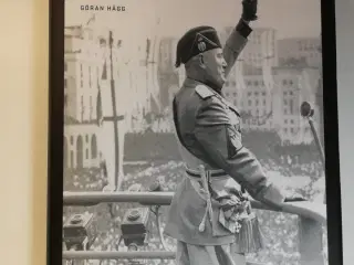 Mussolini. Et studie i magt, Göran Hägg