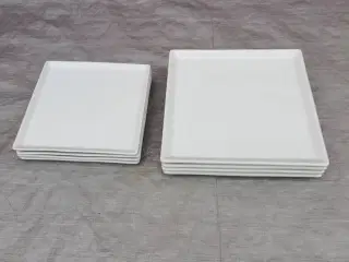 Tallerkner