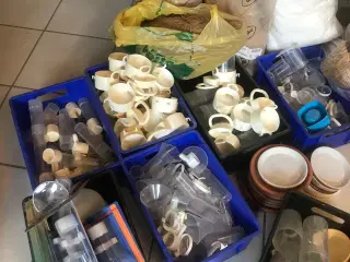 Fugleting