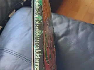 Dinosaur aktivitetsbog 