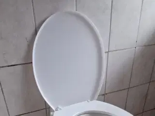 Toilet, væghængt.