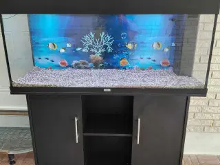 Akvarier 240L 