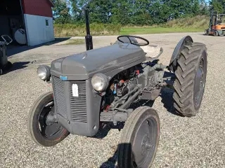 Massey Ferguson 31
