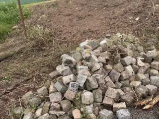 Brosten (flere tons)