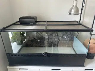 Terrarium til diverse krypdyr