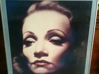 Marlene Dietrich billede i ramme