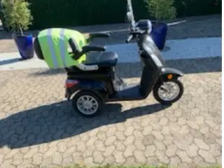 Scoter