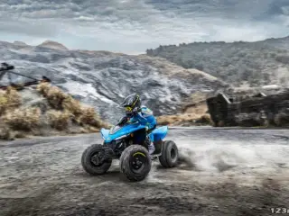 CFMOTO C-FORCE 110