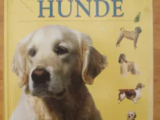 Den store bog om Hunde