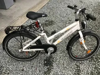 Pigecykel