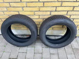 Massimo 185/ 55 R15 helårsdæk
