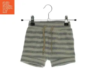 Shorts fra Molo (Str. 86)