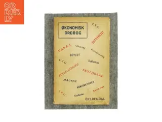 Økonomisk ordbog fra Gyldendal (Bog)