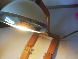 Wattson bordlampe