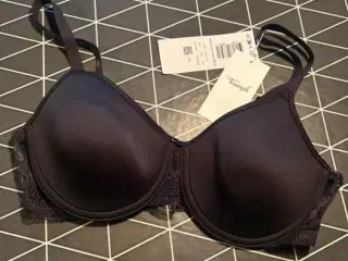 Triumph bh