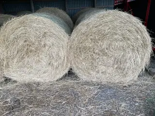 Hø