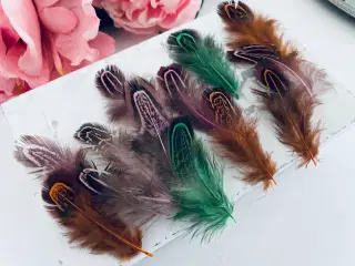 Blandet fjer til dekoration 