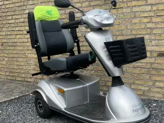 2024 Pegasus lærke 3