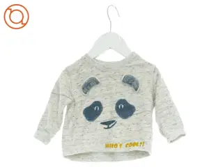 Sweatshirt fra Zara (str. 74 cm)