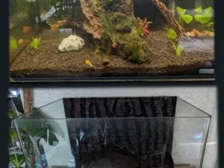 Akvarium 50 Liter