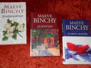 Den lilla bus m.fl, Maeve Binchy
