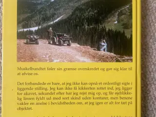 Bjørnejagt i Canada