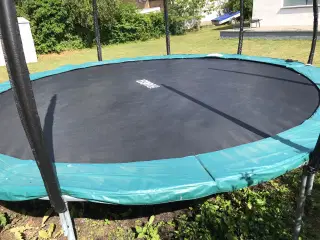 Stor trampolin m. sikkerhedsnet og stige