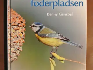 fugle ved foderpladsen, af benny gensbøl, emne: dy