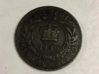 One cent Newfoundland 1880