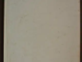 den ukendte kai nielsen, af zakarias jensen, emne: