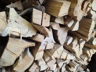 Tørt Bøg i ½ meter stykker kløvet