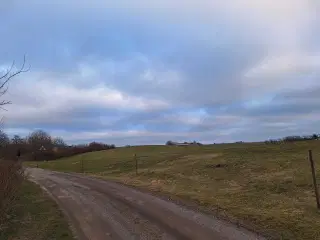 1,7 ha til afgrænsning/ wrap/ sommer fold 