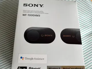 Sony WF-1000xm3 in ear