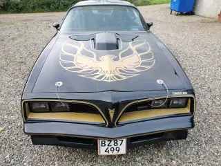 Pontiac trans am