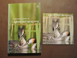 gyldendals guide til fuglene ved sø og eng inkl cd
