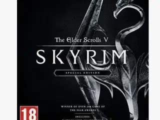 Skyrim the Elder Scrolls V
