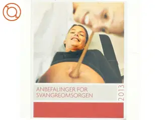 Anbefalinger for svangreomsorgen (Bog)