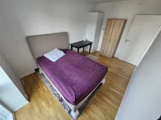 1 Bedroom on shared apartment - KBH SV, København V, København
