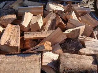 Brænde Bøgetræ 